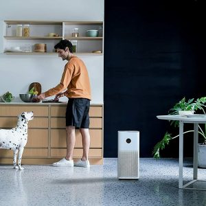 Xiaomi-Smart-Air-Purifier-4-Touch-Display-App-and-Voice-Control-48-M-4.jpg